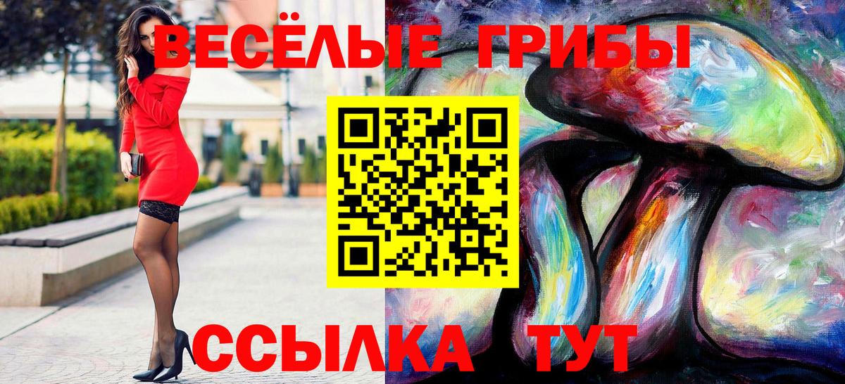 Псилоцибиновые грибы Magic Shrooms Гусев