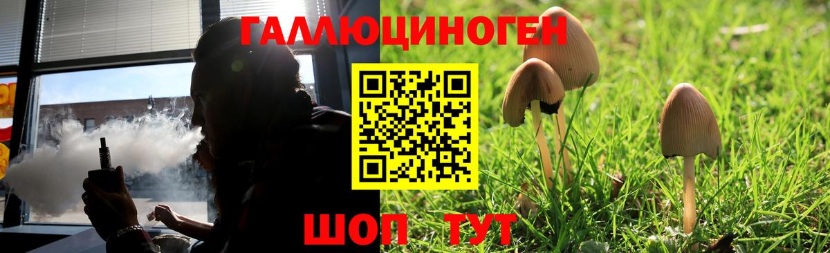 Гусев  Галлюциногенные грибы прущие грибы  Вход с VPN  Галлюциногенные грибы Magic Shrooms 
